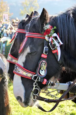 Seitwerk Hotel Uffing am Staffelsee Leonhardi 300x700