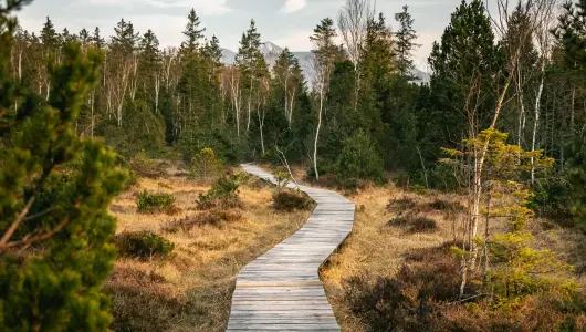 Seitwerk Hotel Uffing am Staffelsee Murnauer Moos Steg 530x300