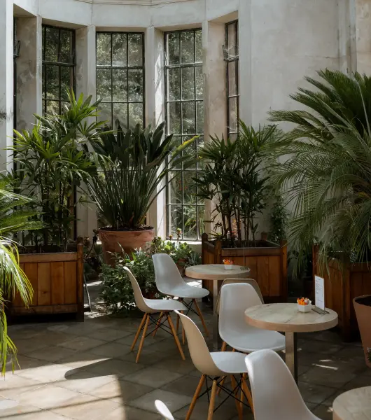 Seitwerk Hotel Uffing am Staffelsee Palmen im Wintergarten 530x600