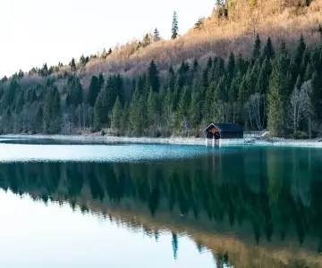 Seitwerk Hotel Uffing am Staffelsee See mit Wald 360x300